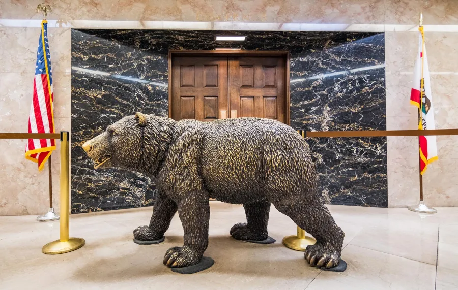 california-governors-office-bear.jpg