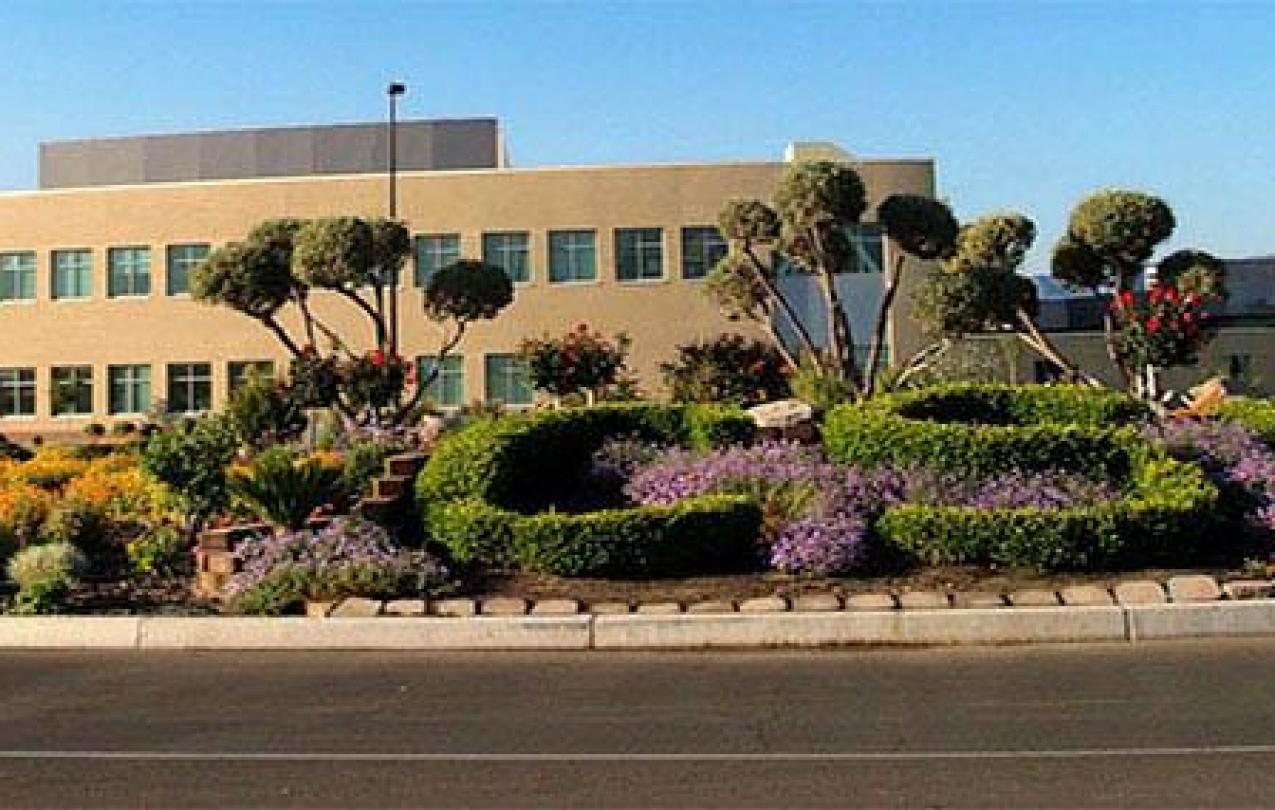 Coalinga State Hospital 