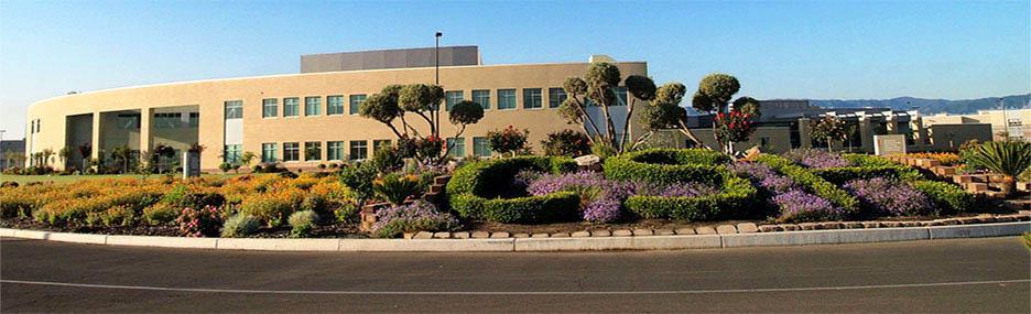 Coalinga State Hospital 