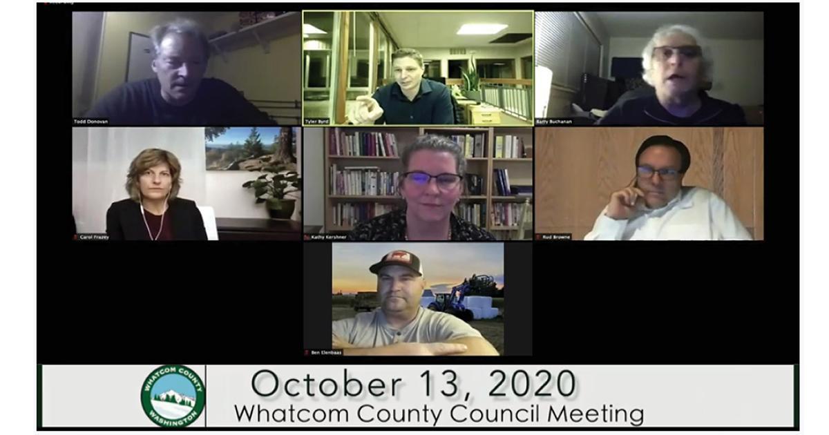 Michele Stelovich, Vice President of WFSE Local 1060 and President of the NW WA Central Labor Council, testifies before the Whatcom County Council.